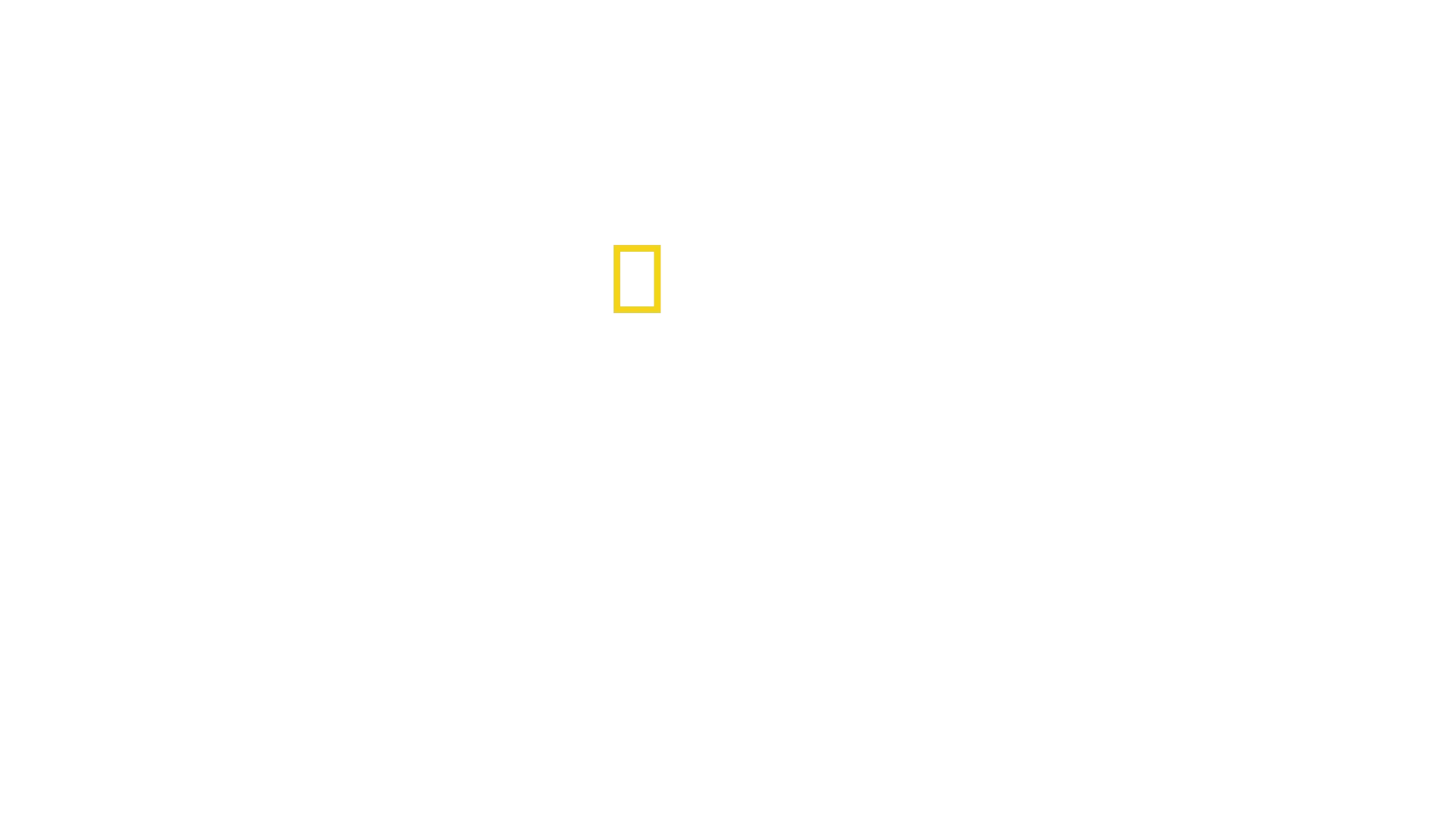 Hvalernes hemmeligheder