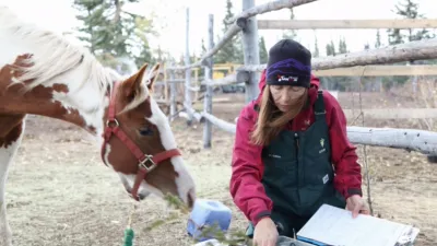 thumbnail - S1:E2 One Angry Muskox