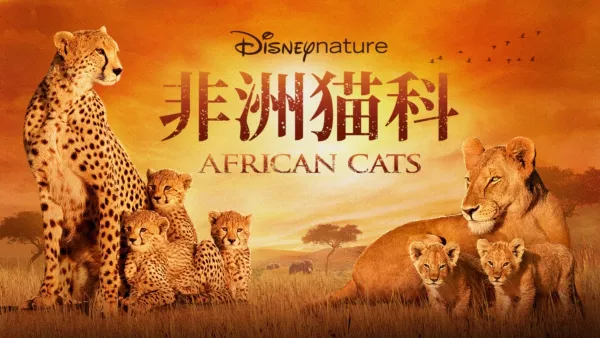 thumbnail - 非洲猫科