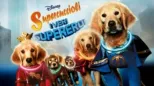 thumbnail - Supercuccioli - I veri supereroi