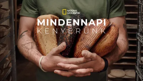 thumbnail - Mindennapi kenyerünk