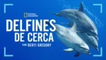thumbnail - Dolphins Up Close with Bertie Gregory