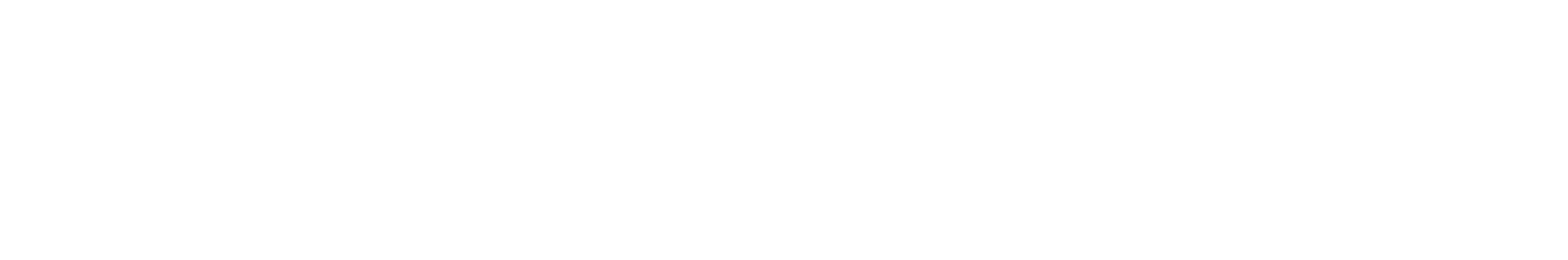 Kolleginnen