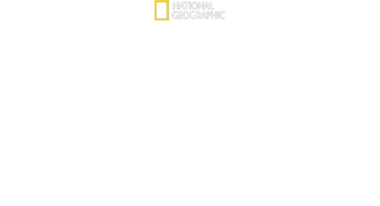 Magic of Disney's Animal Kingdom