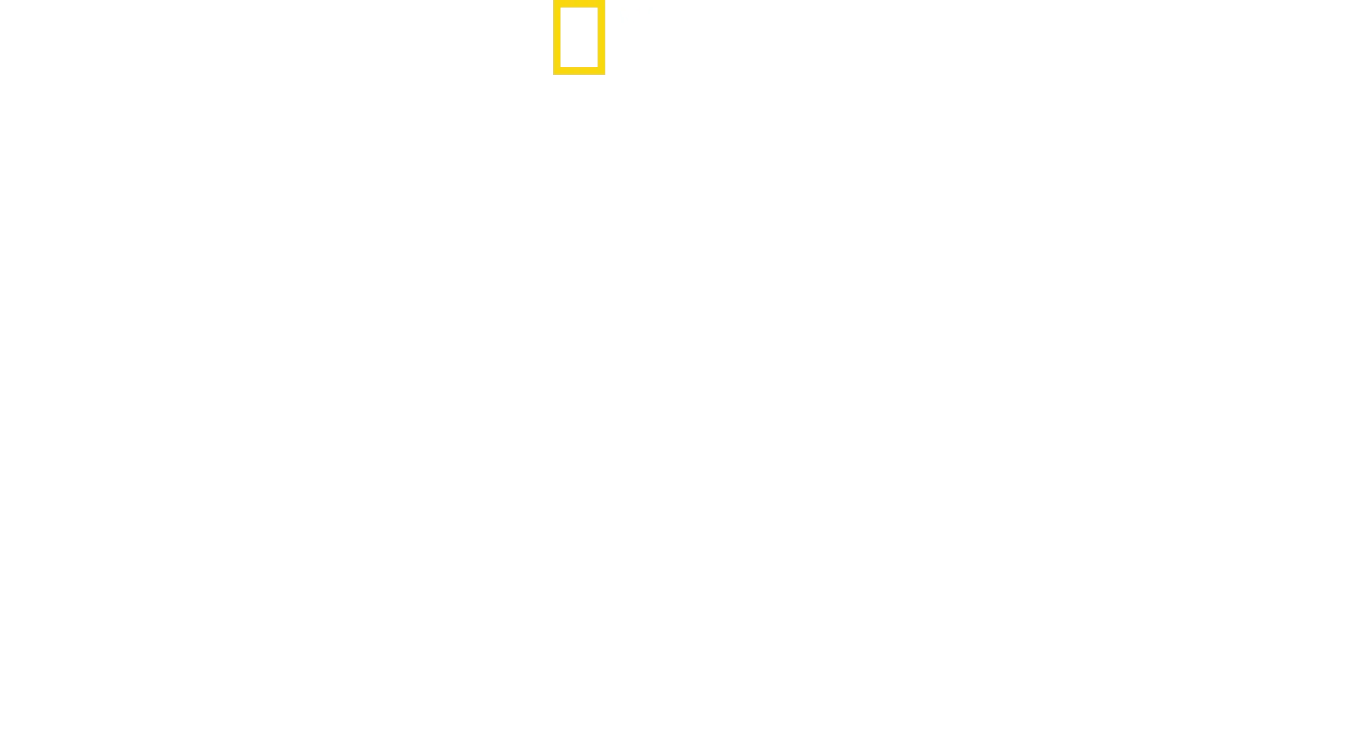 Magic of Disney's Animal Kingdom