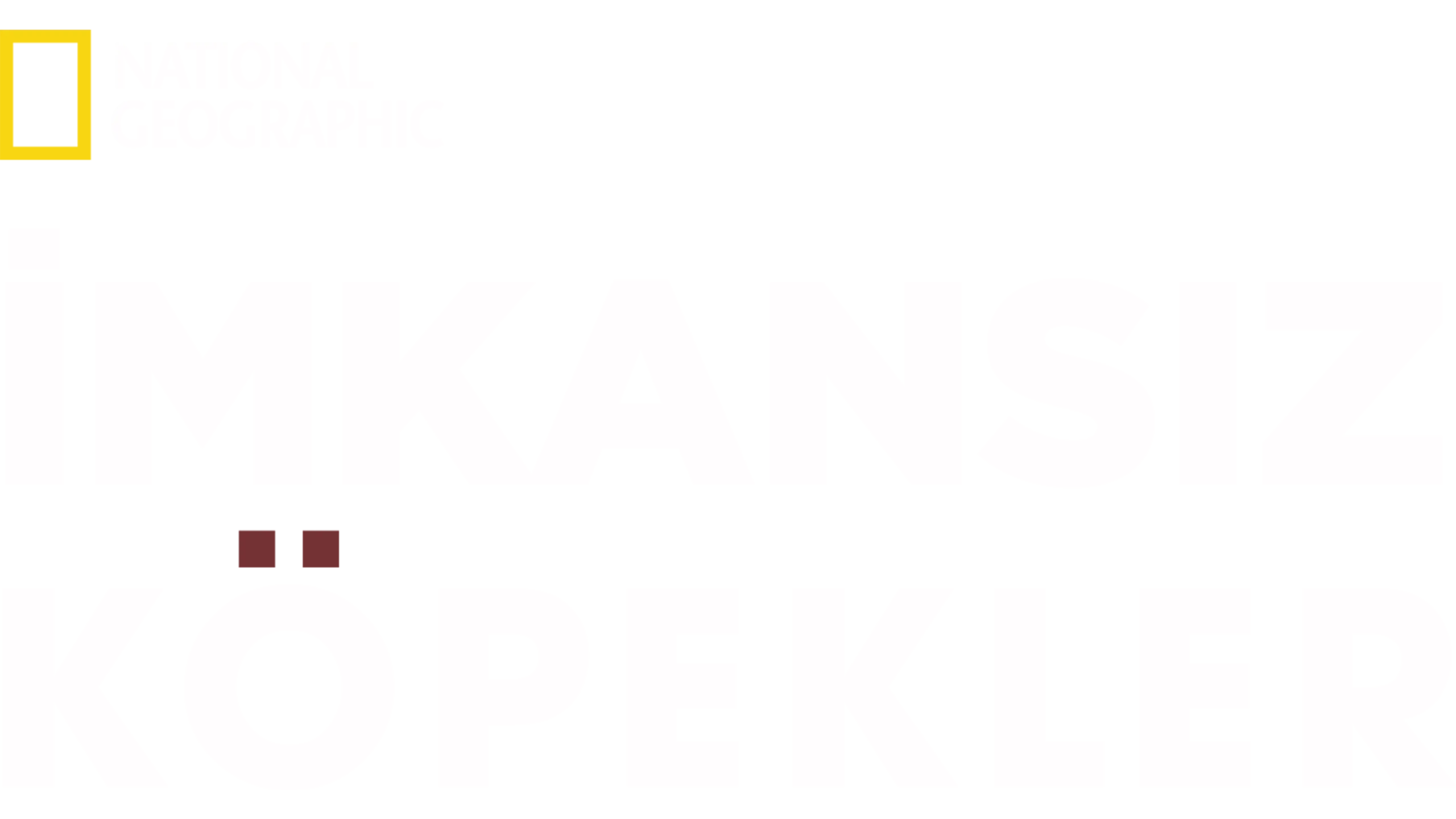 İmkansız Köpekler