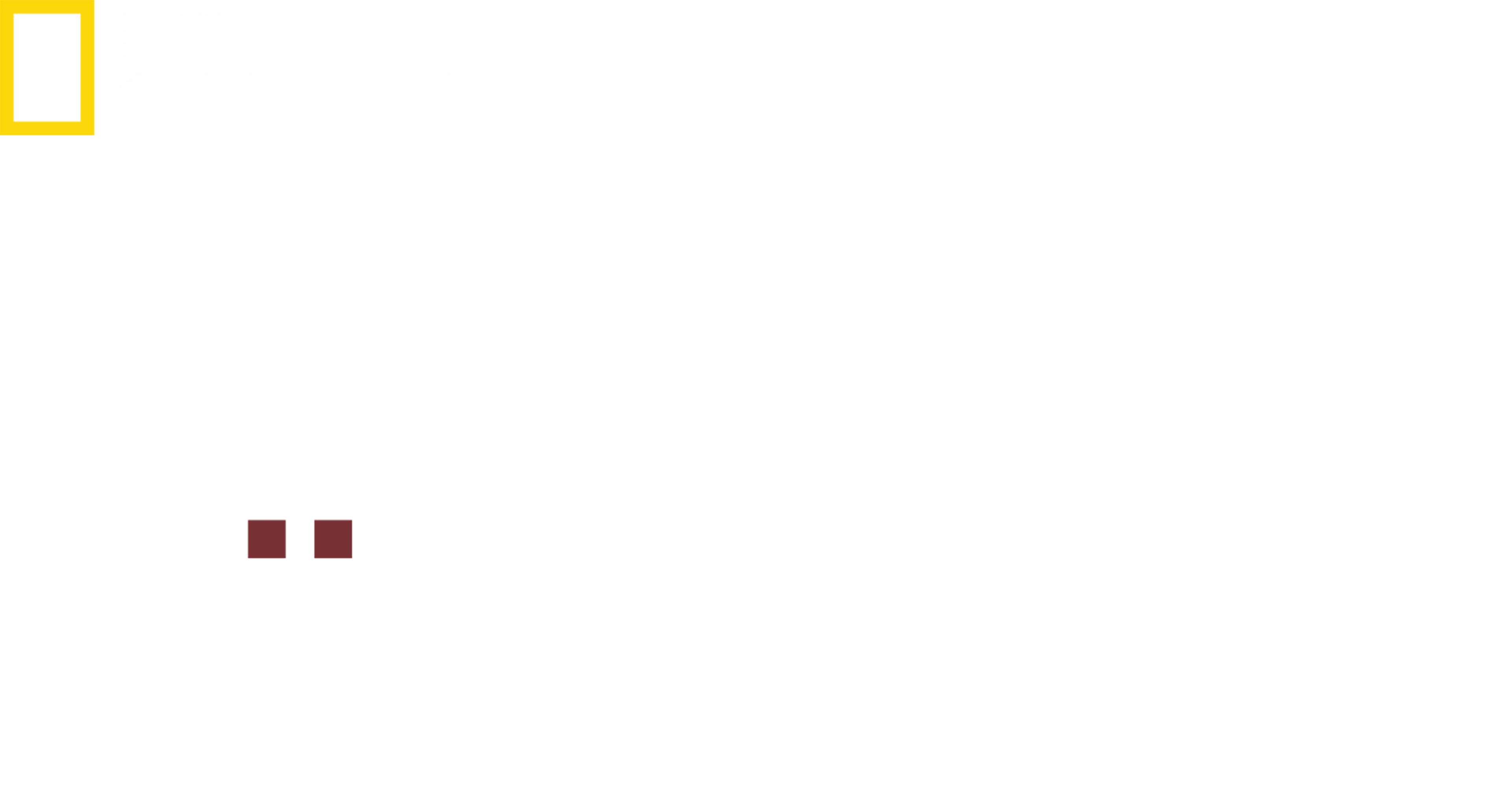 İmkansız Köpekler