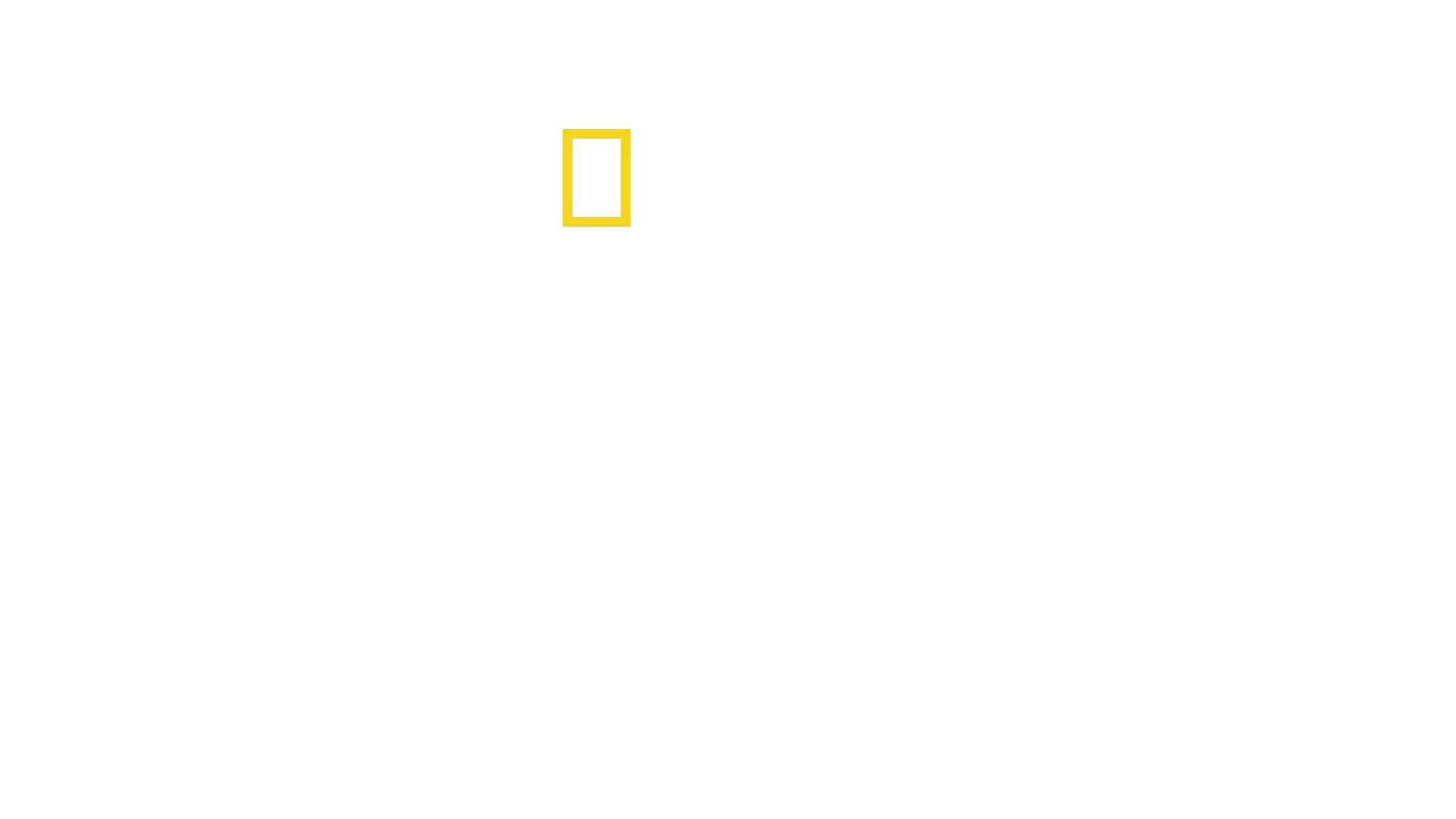 O Segredo das Baleias