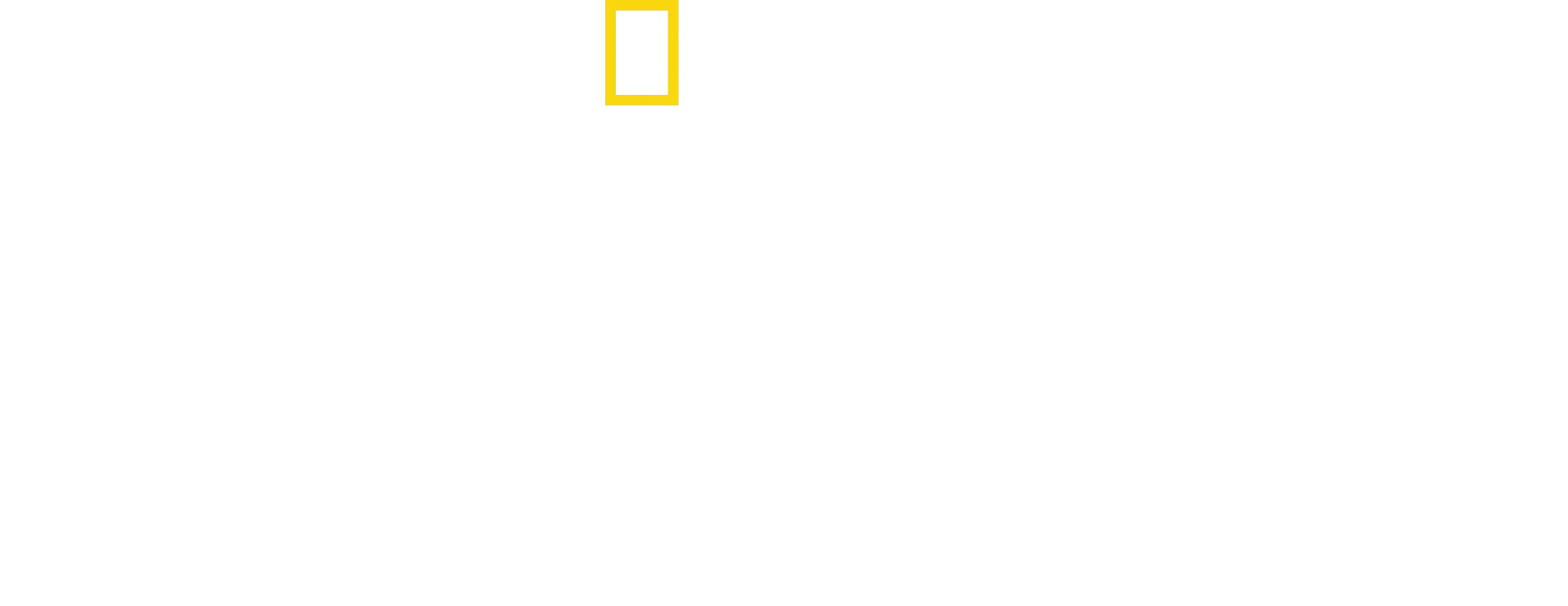 O Segredo das Baleias