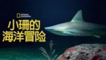 thumbnail - 小珊的海洋冒险