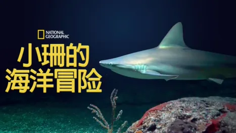 thumbnail - 小珊的海洋冒险