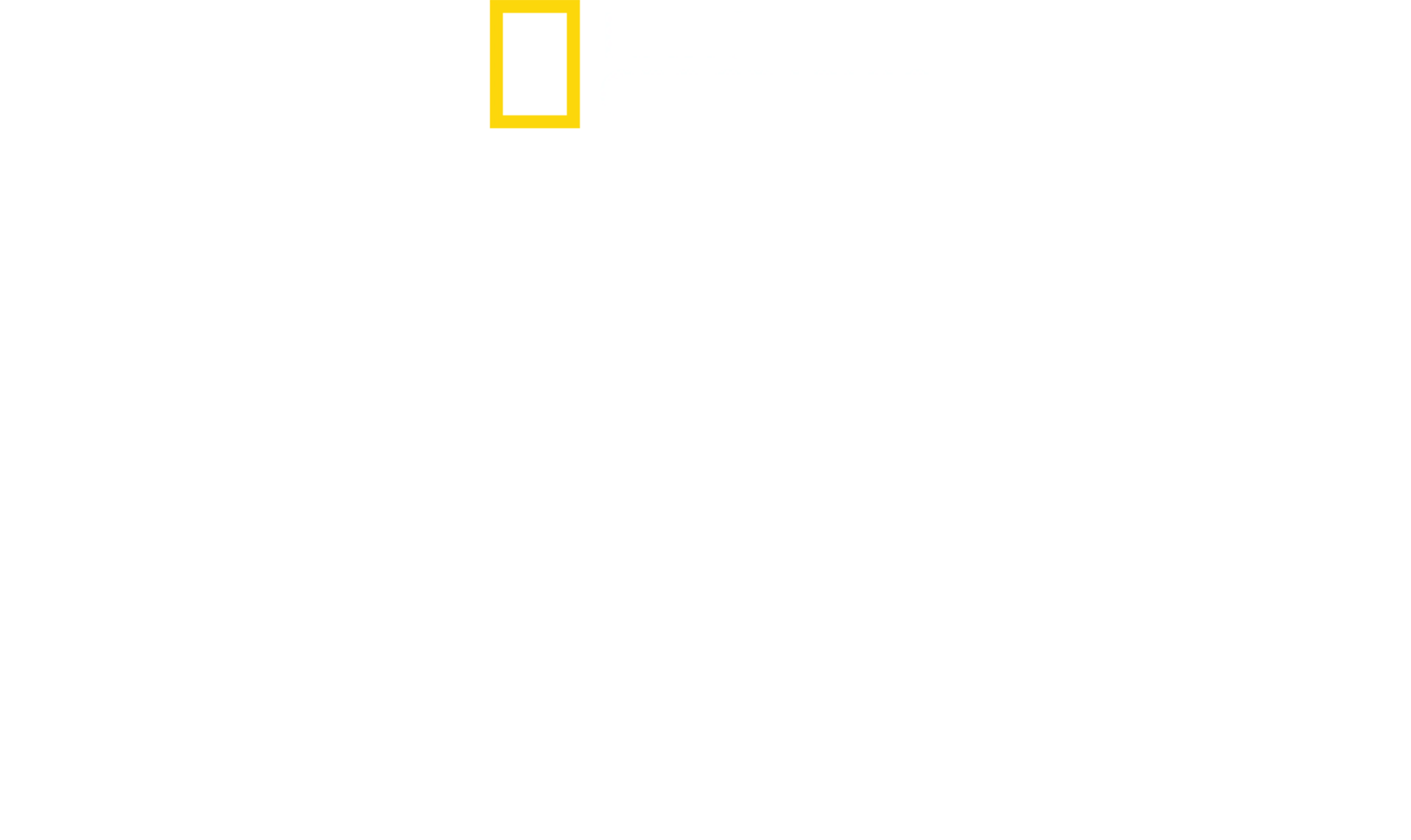 Élet az SS-ben