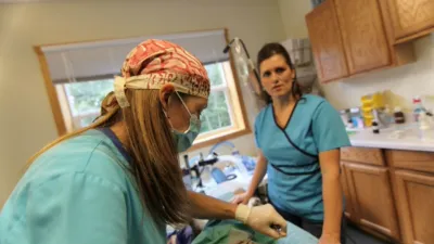 thumbnail - S1:E4 Reindeer Pains