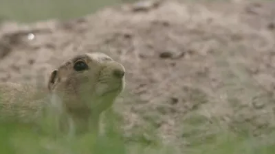 thumbnail - S1:E9 A Flood Of Trouble