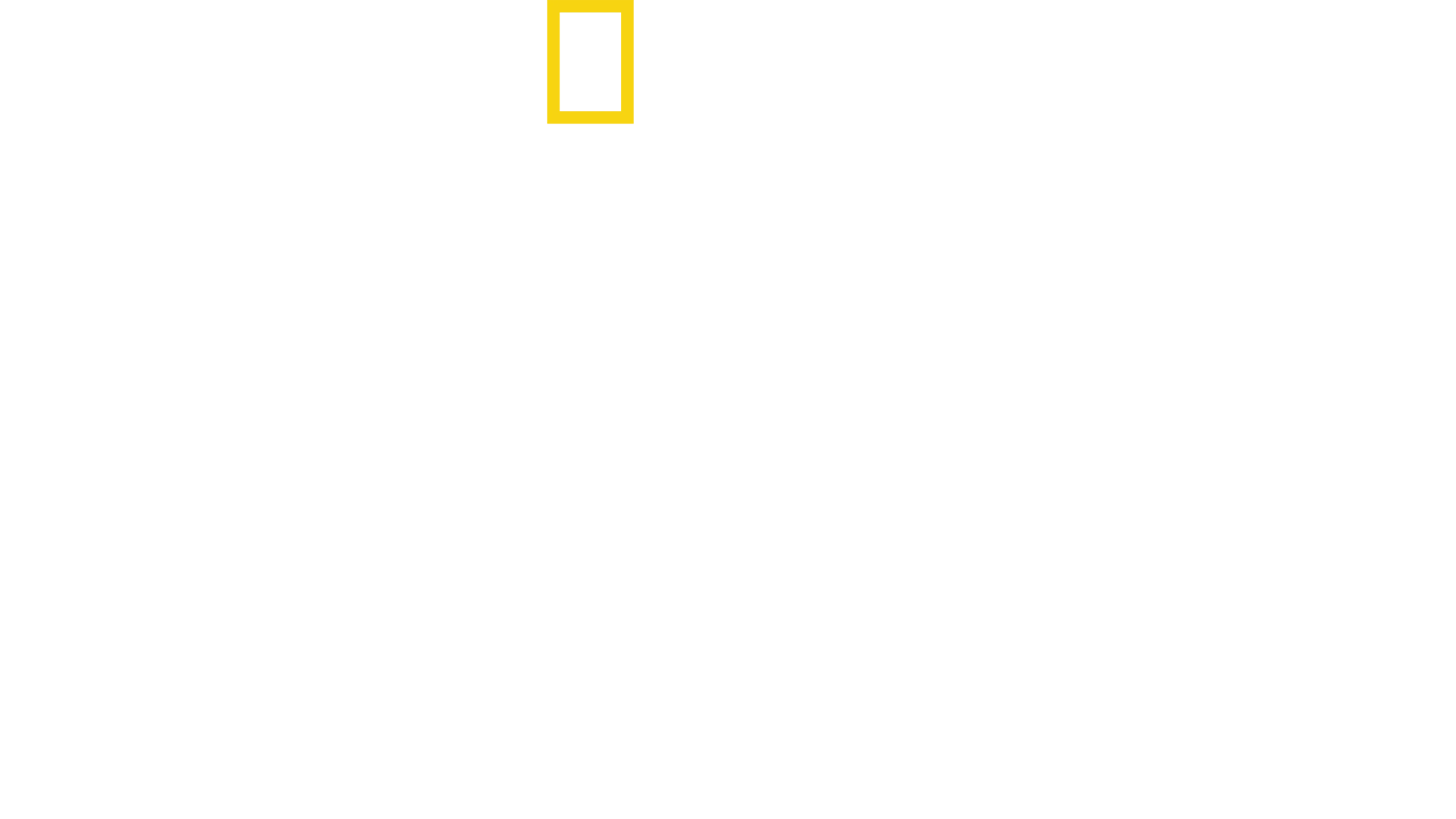 개의 진화: 지금의 모습을 갖기까지