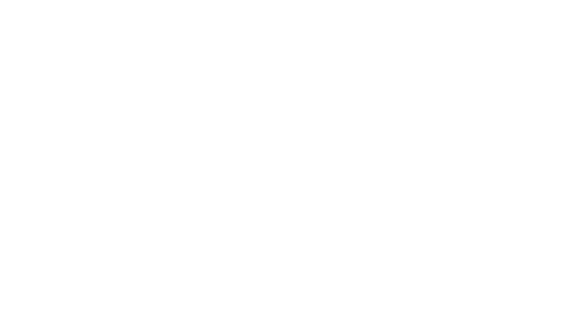 Le journal d'un vieil homme