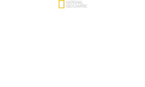 Isabel II en Primer Plano