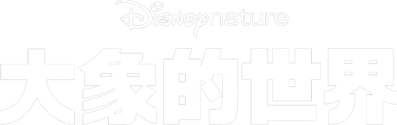 大象