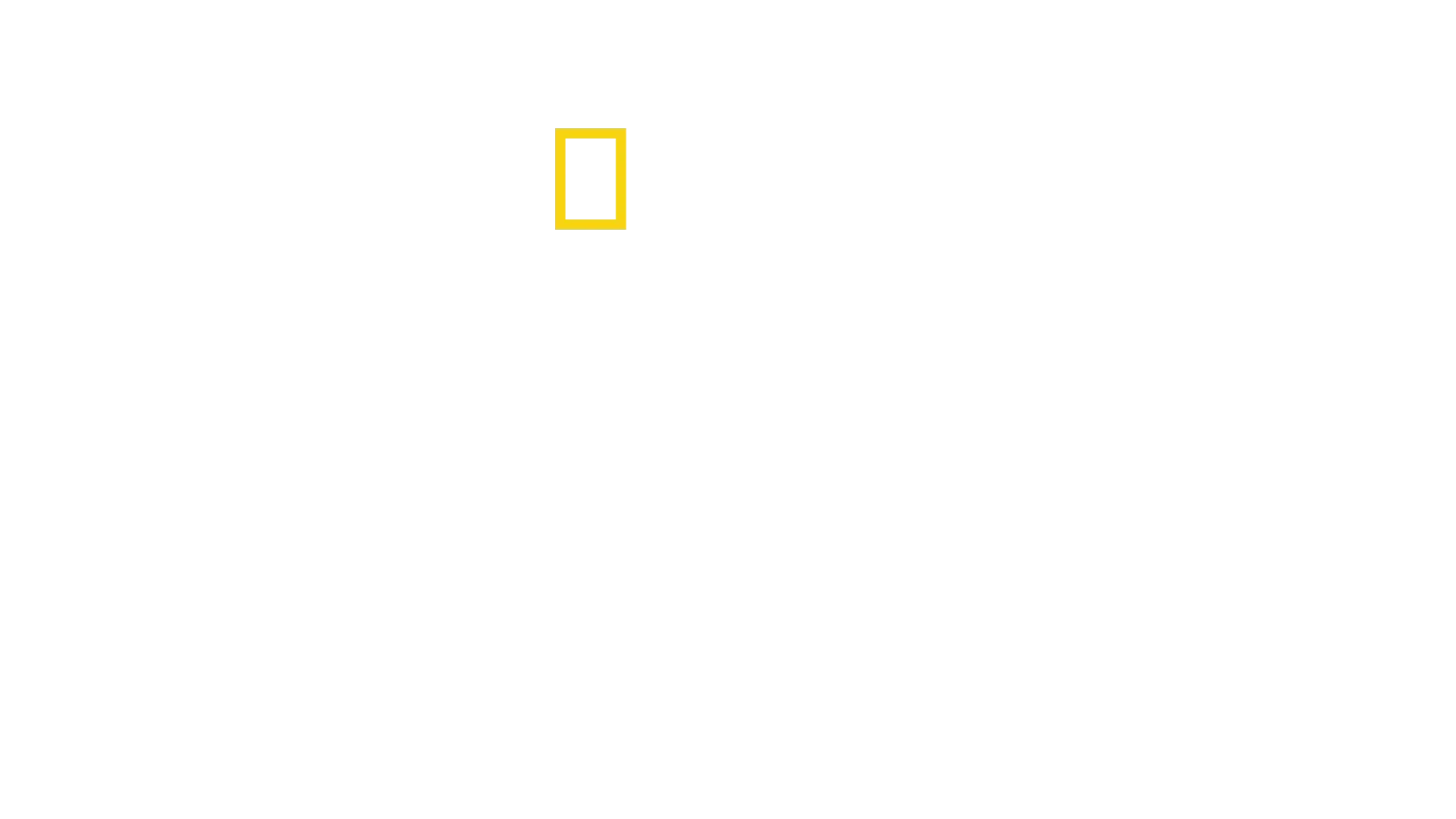 The Rescue: Das Höhlenunglück in Thailand