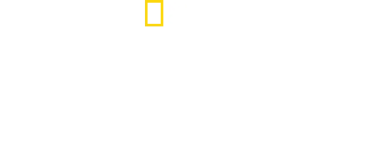 The Rescue: Das Höhlenunglück in Thailand