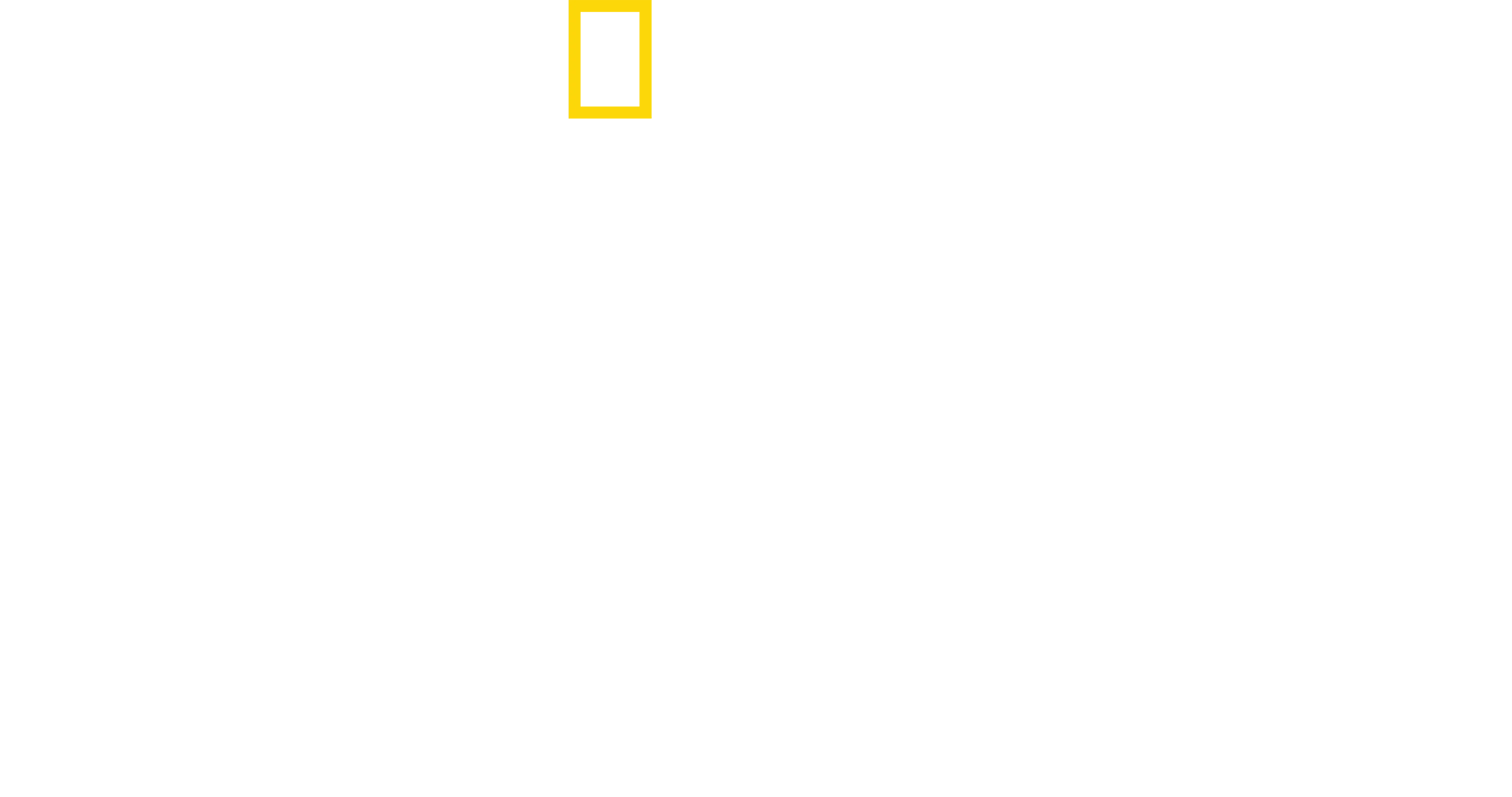 Maui'nin Gizemli Köpekbalıkları