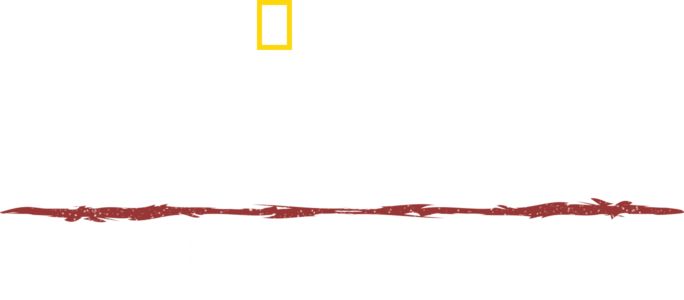 荒野生存家：偉哉湄公河