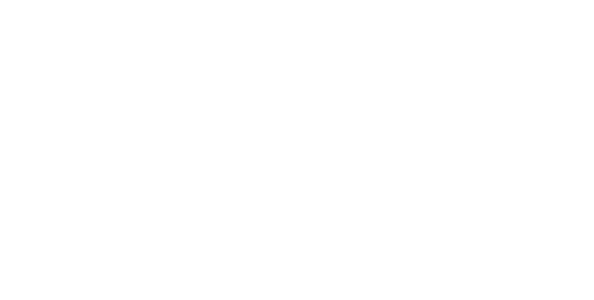 Der Flug des Phönix