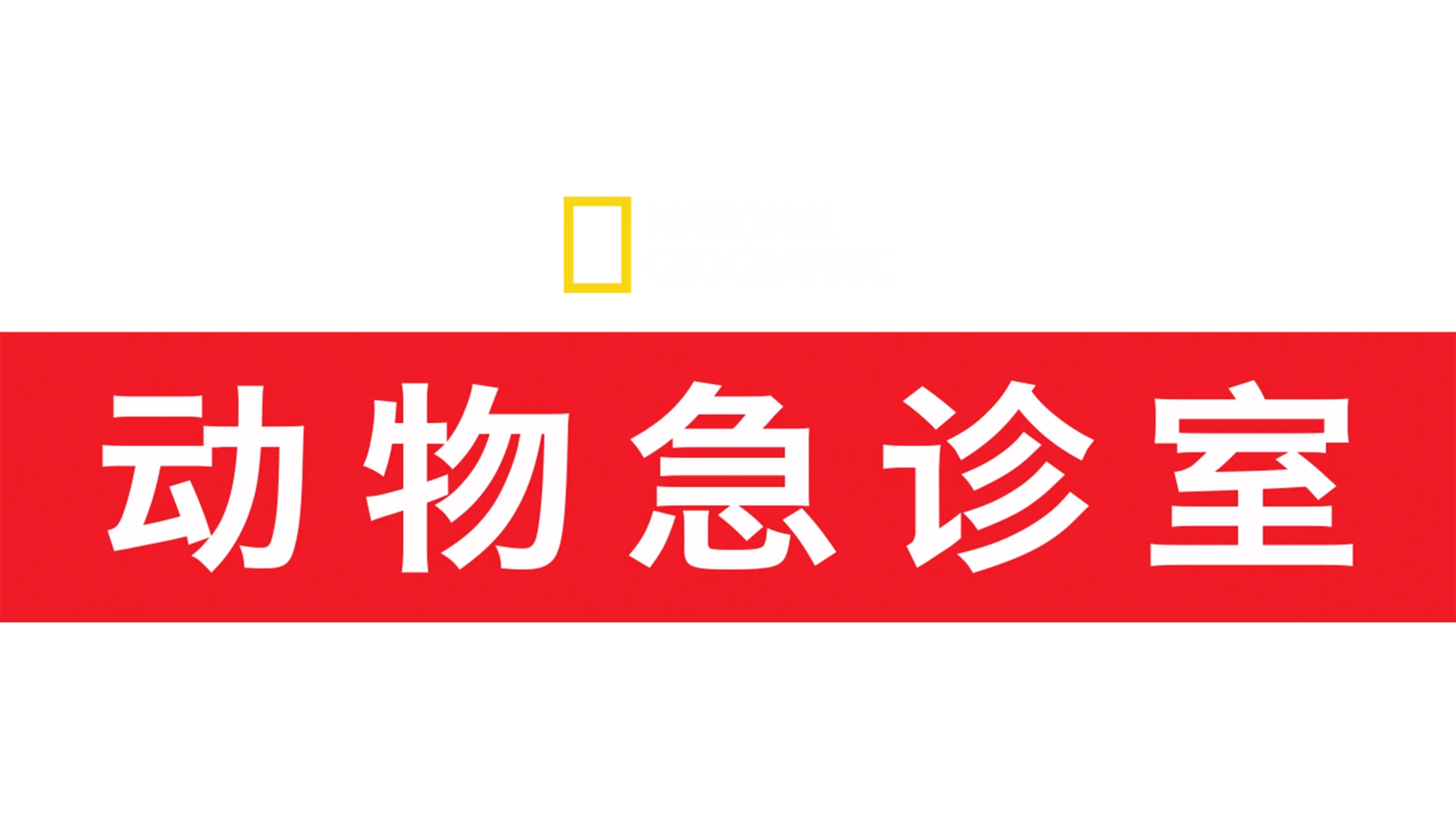 动物急诊室