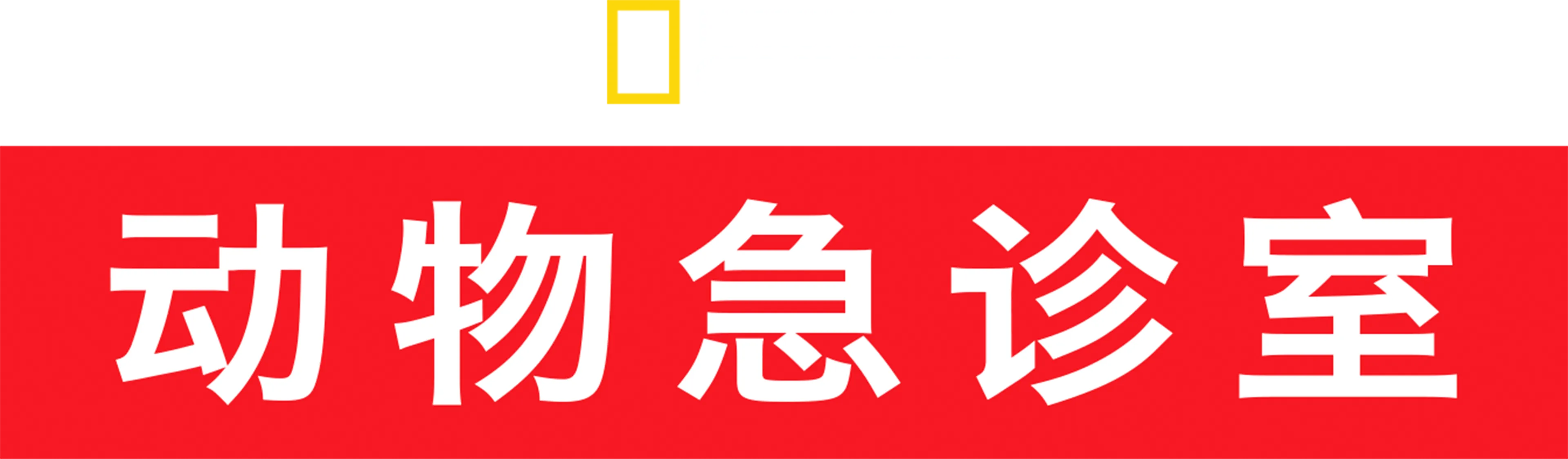 动物急诊室