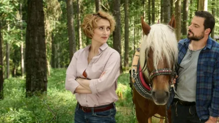 Ein Sommer im Schwarzwald