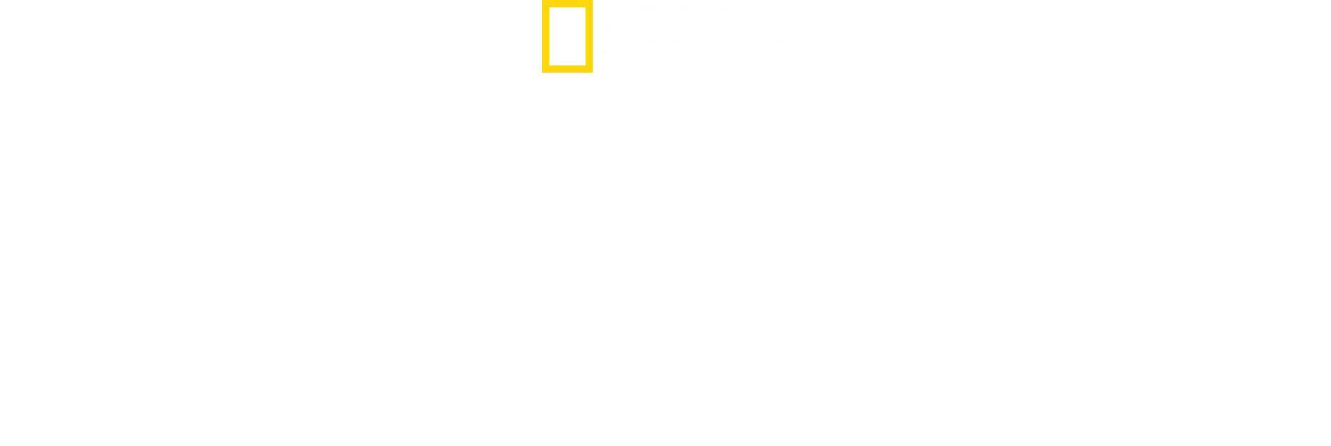 Die tödlichsten Haie der Welt
