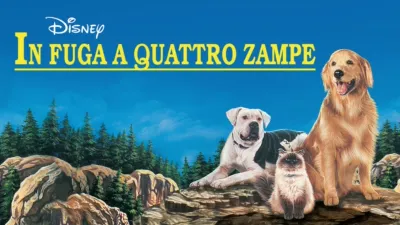 In Fuga a Quattro Zampe