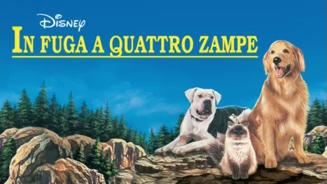 thumbnail - In Fuga a Quattro Zampe