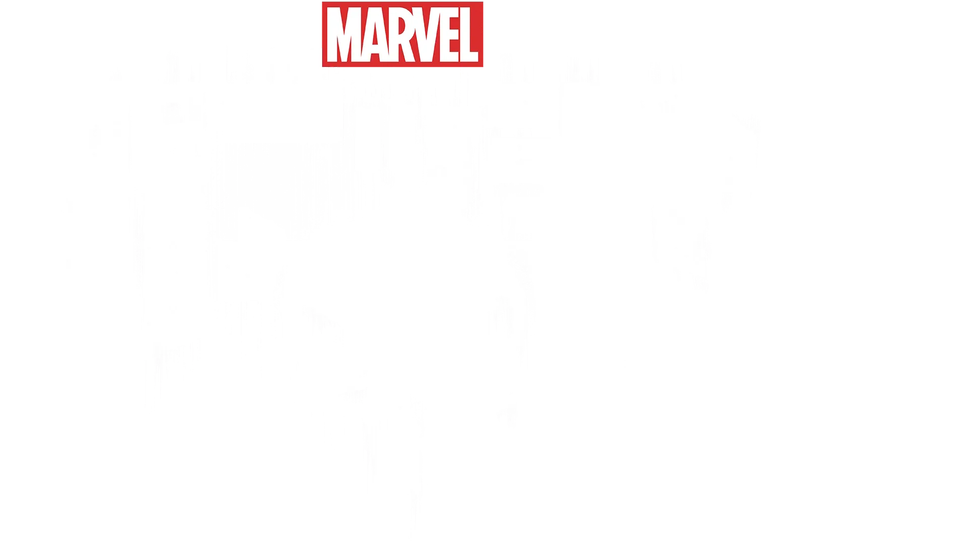 マーベル／パニッシャー