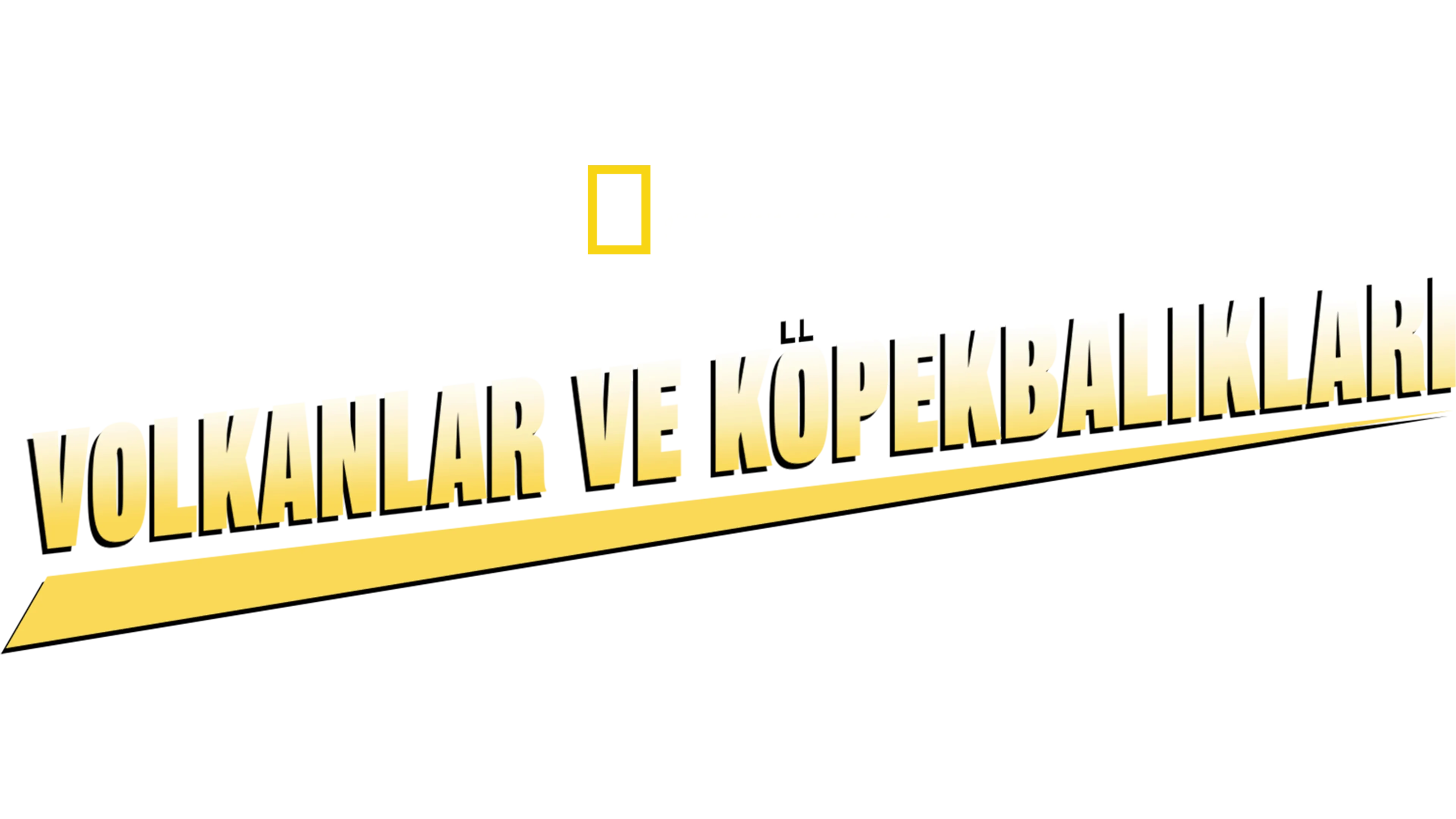Volkanlar ve Köpekbalıkları