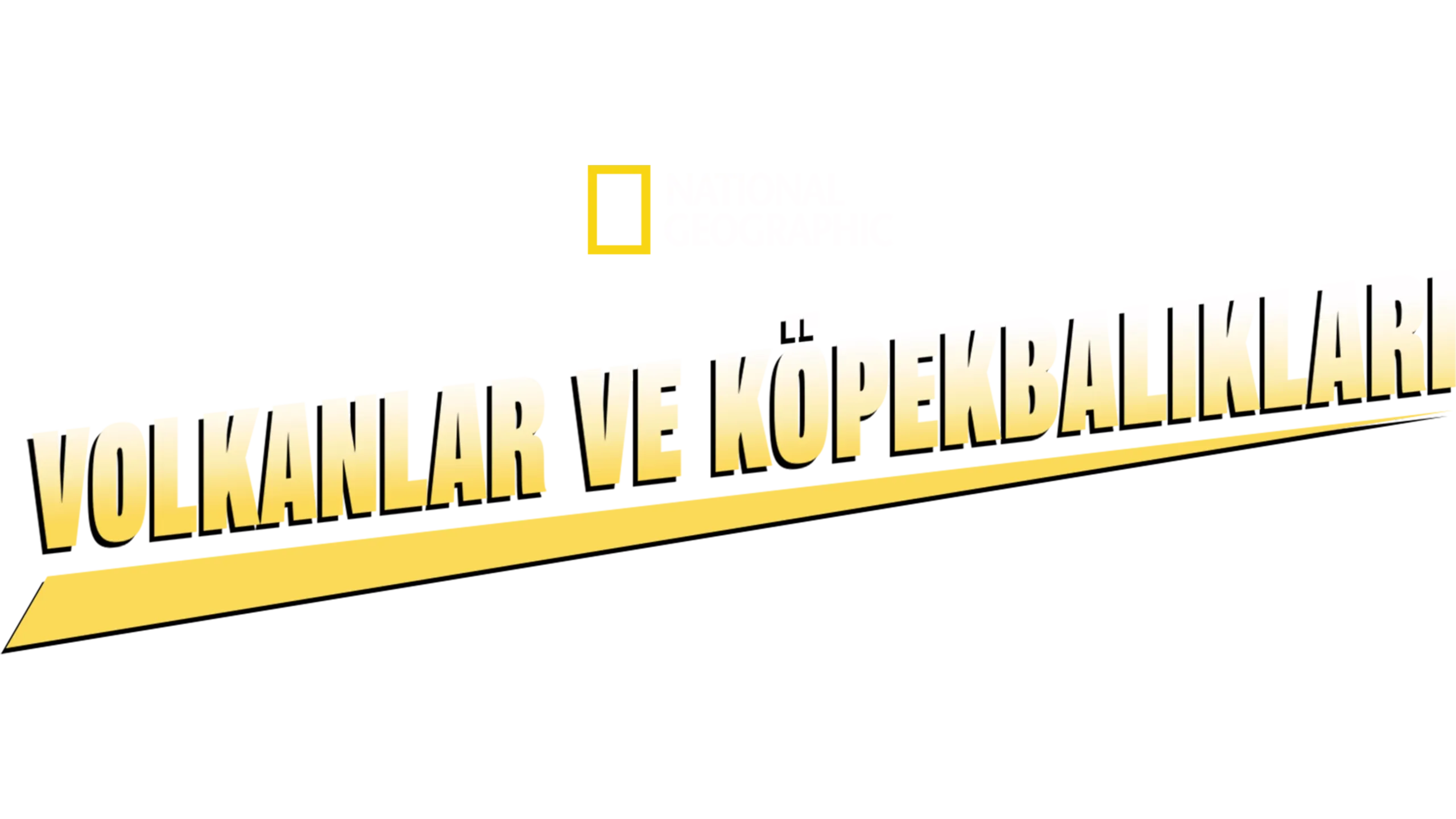 Volkanlar ve Köpekbalıkları