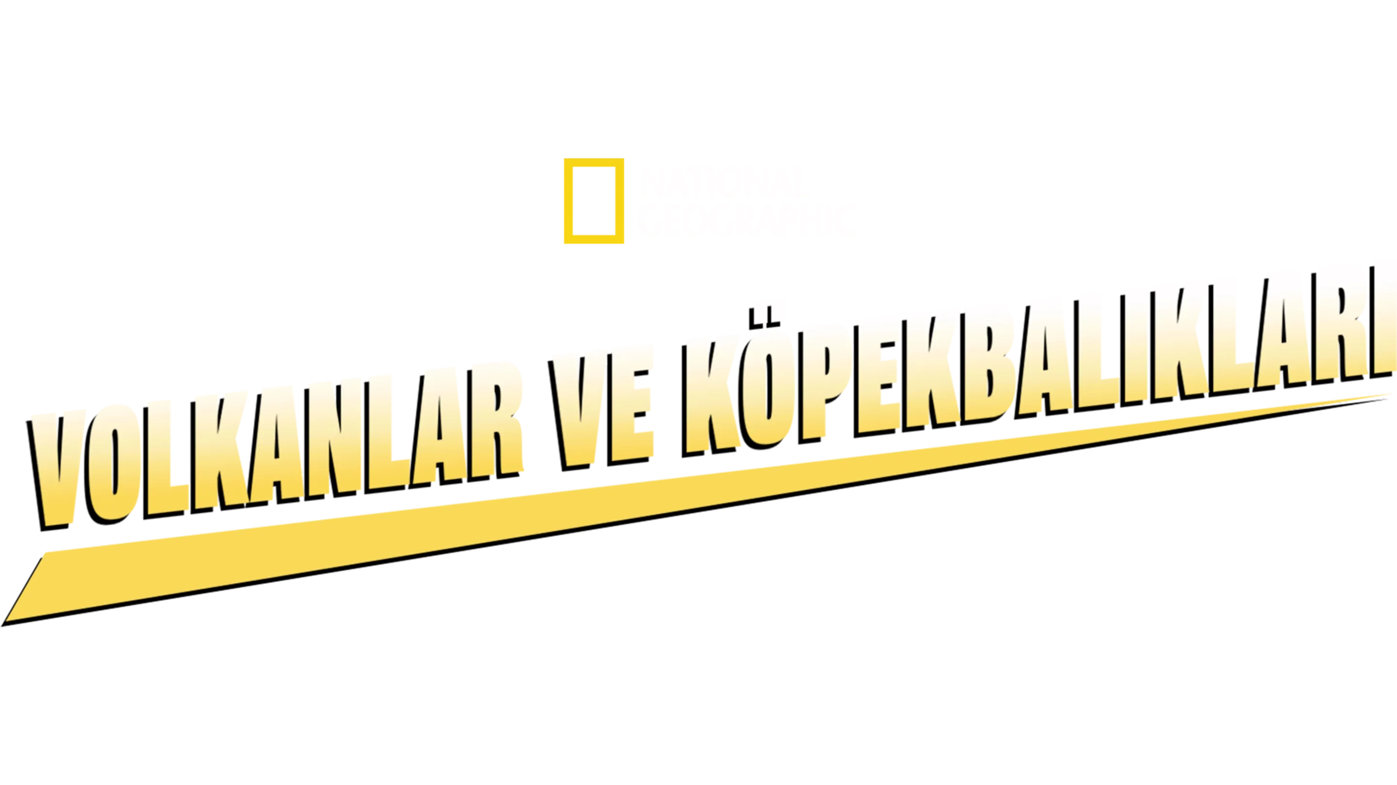 Volkanlar ve Köpekbalıkları