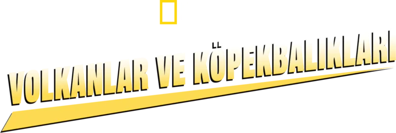 Volkanlar ve Köpekbalıkları