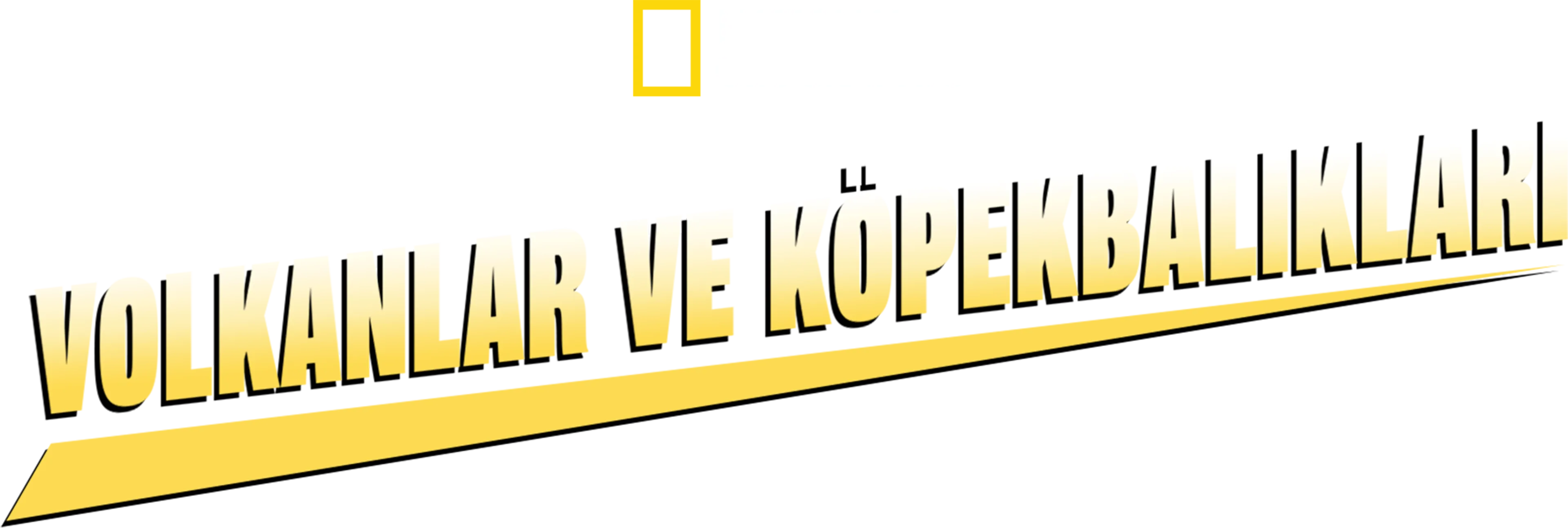 Volkanlar ve Köpekbalıkları