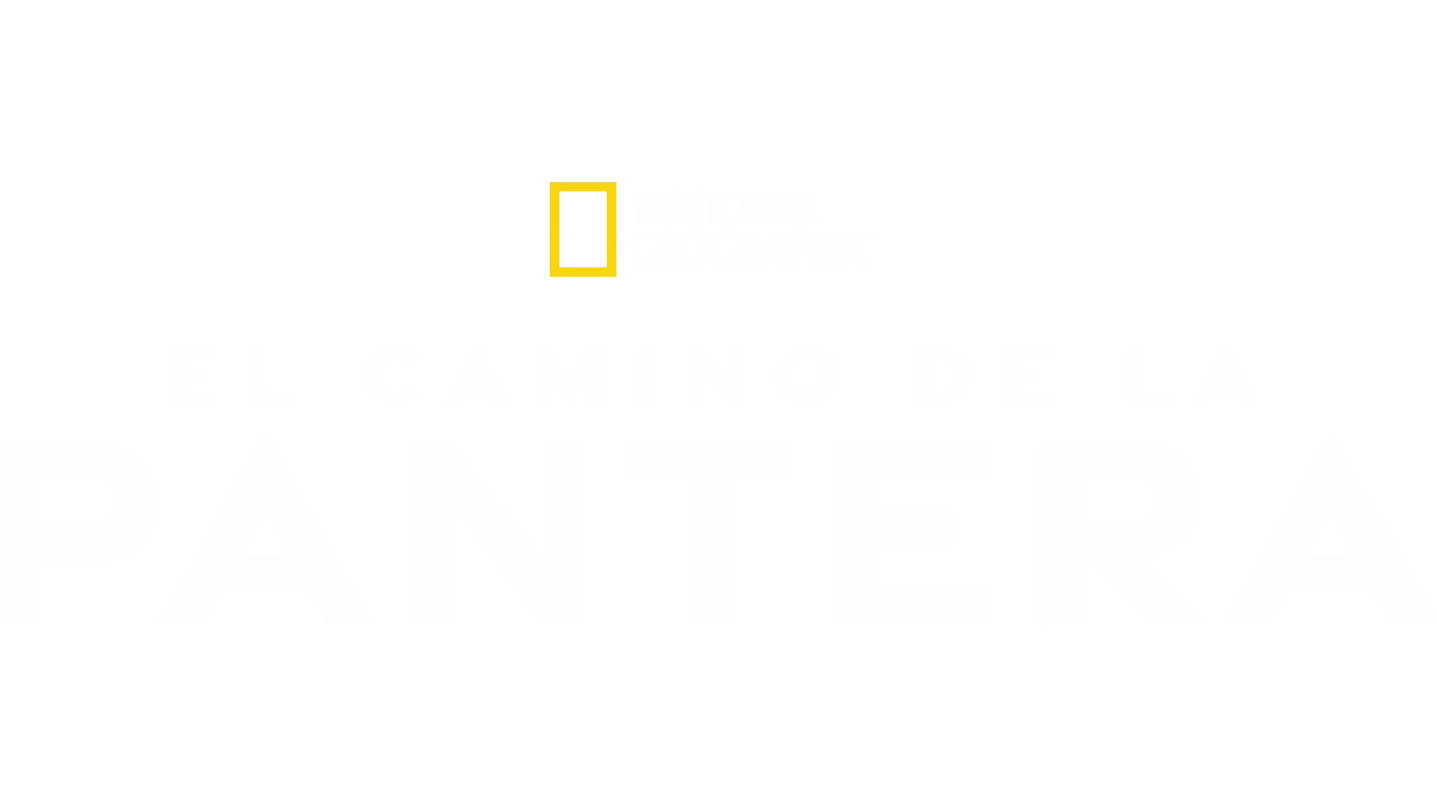 El camino de la pantera