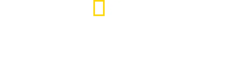 El camino de la pantera