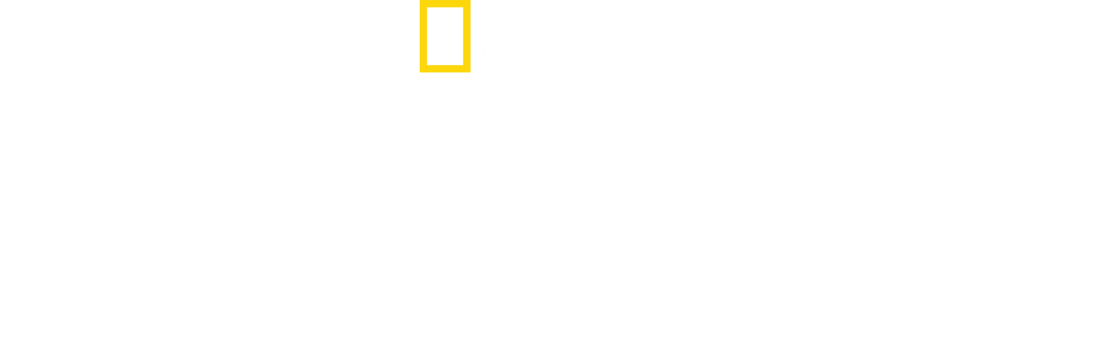 El camino de la pantera