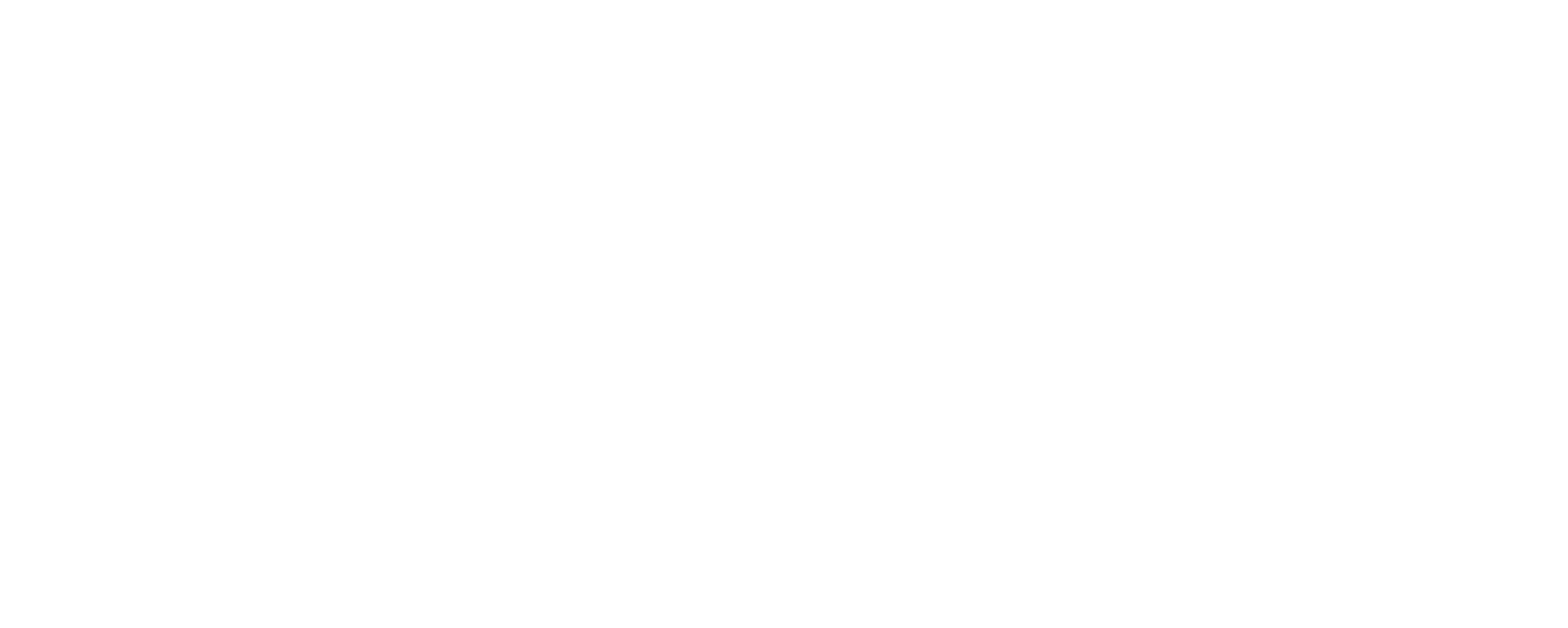 The Fury