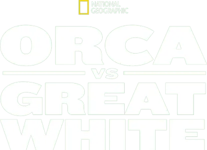 Orca vs. Great White