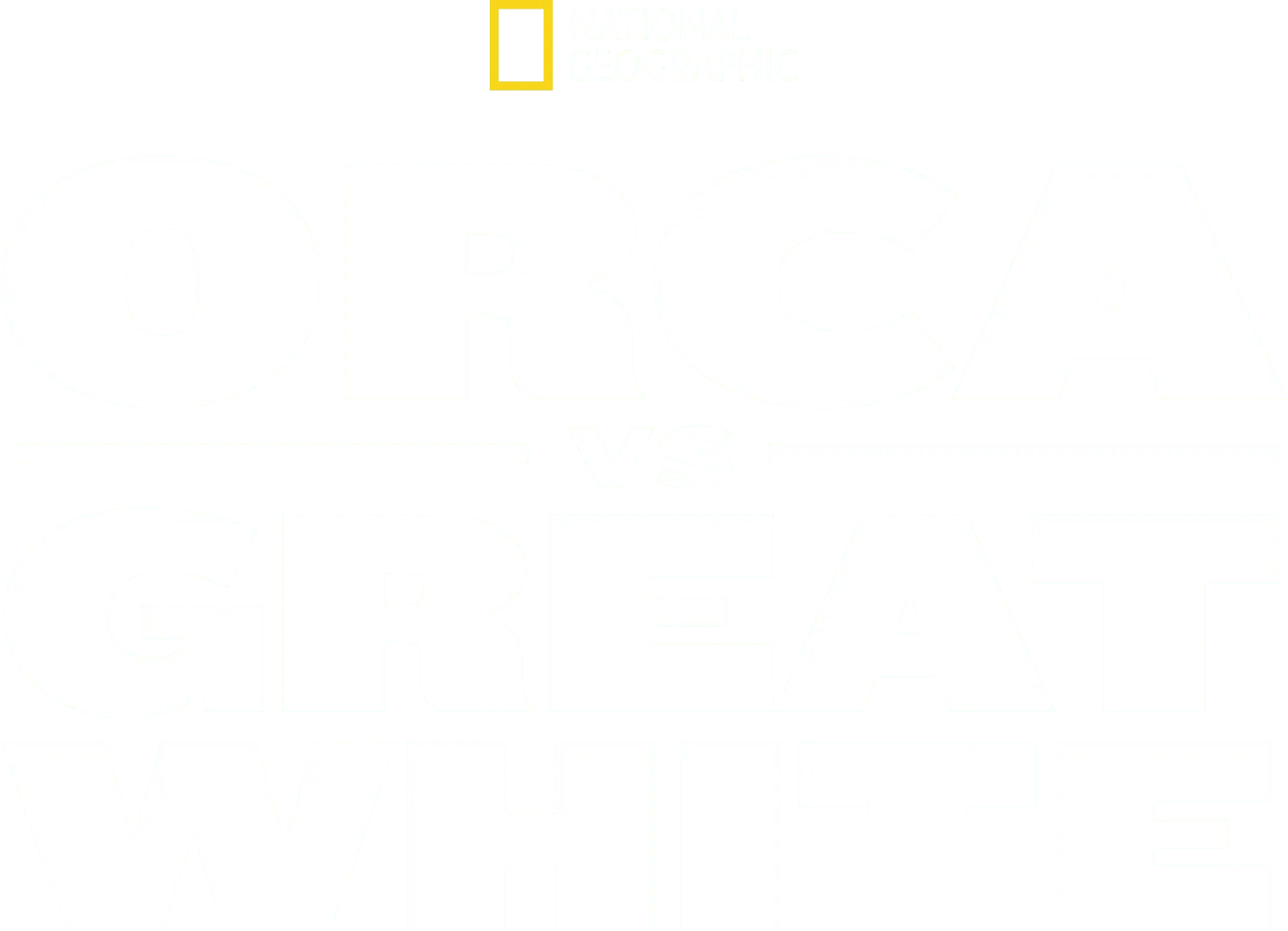 Orca vs. Great White