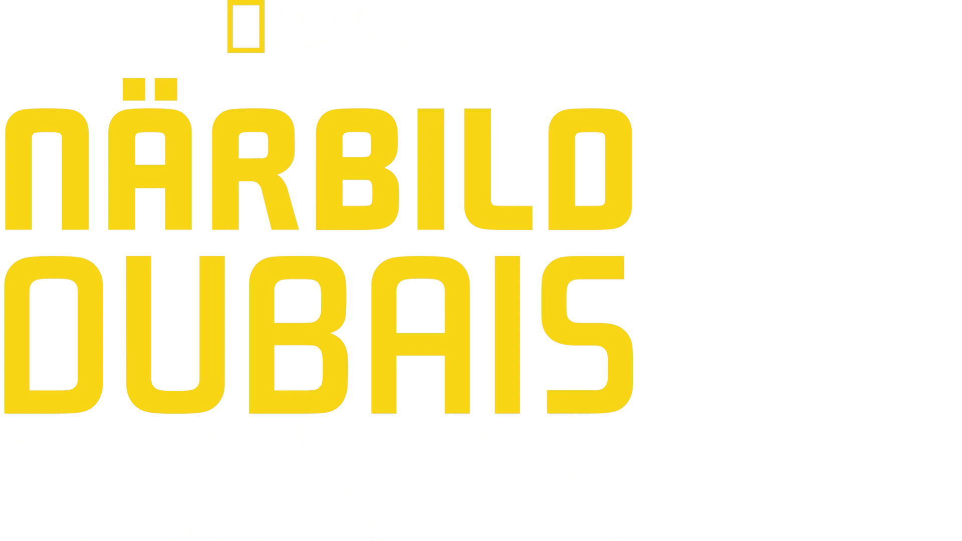 Närbild Dubais flygplats