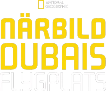 Närbild Dubais flygplats