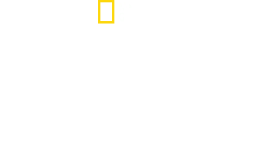 Maradona Confidential
