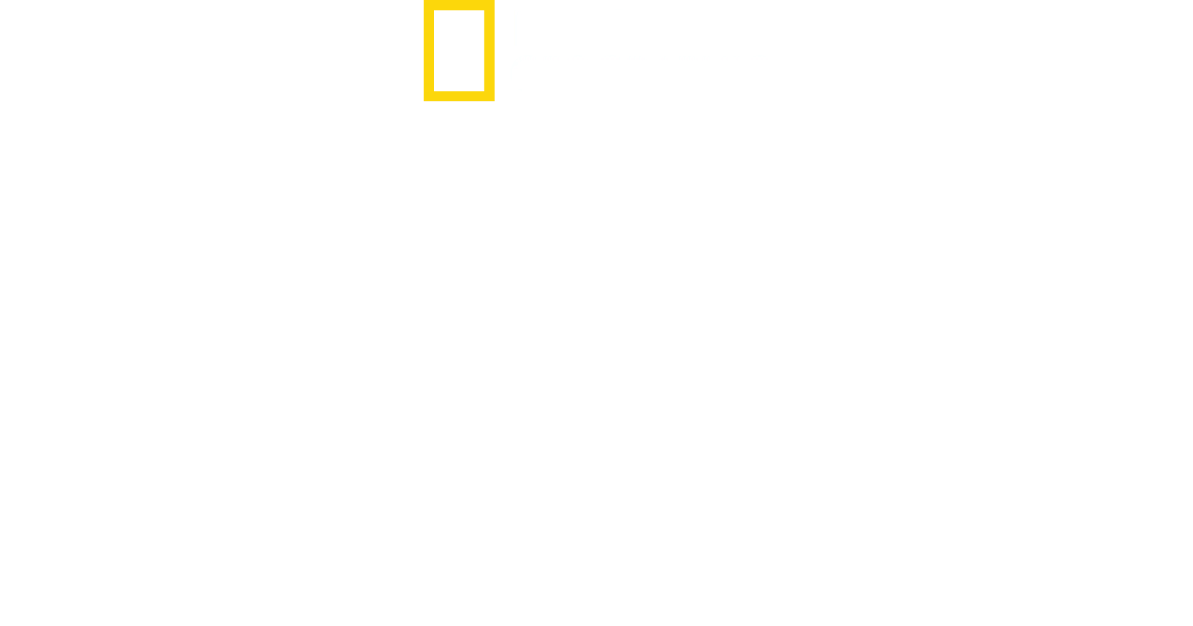 Maradona Confidential