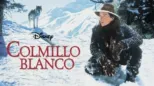 thumbnail - Colmillo blanco